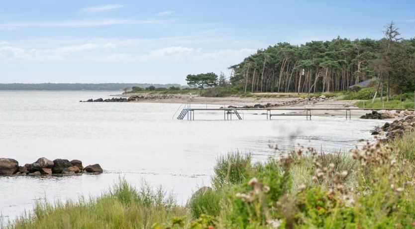 Photo of "Kjell" - 25m from the sea