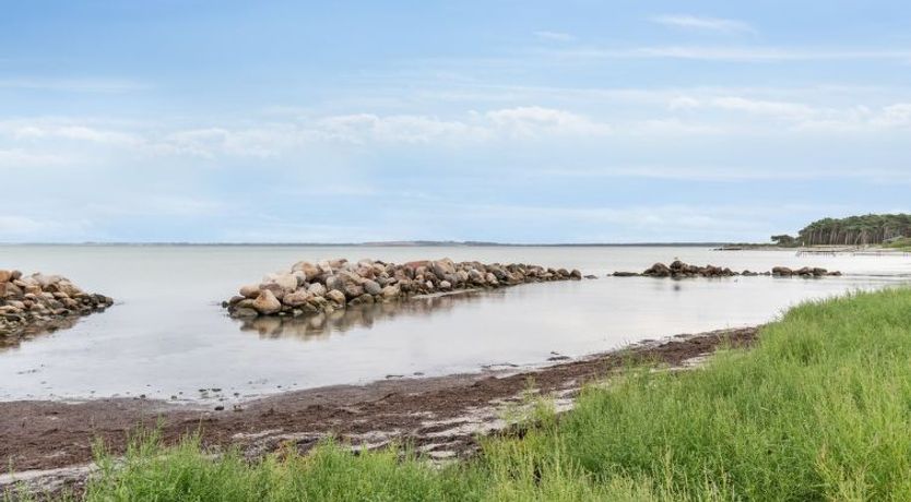 Photo of "Kjell" - 25m from the sea