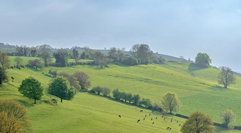 Photo of Greenhills Cottage
