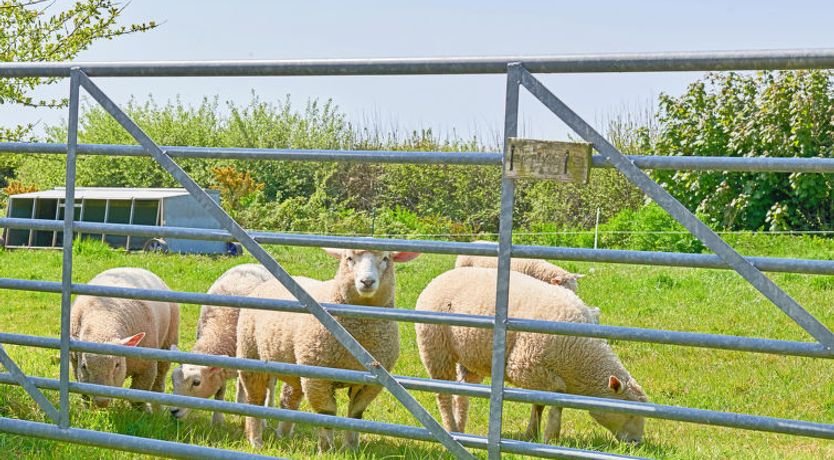 Photo of Hawthorn Barn