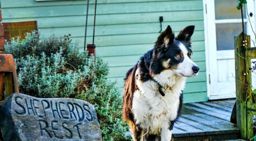 Photo of Shepherd's Rest at Morrells Wood
