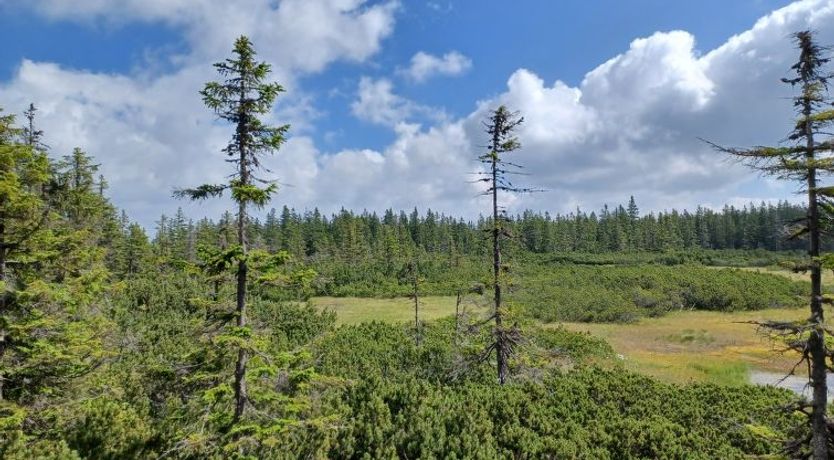 Photo of Ski&Bike Siréna Apartment 6
