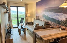 Photo of skibike-sirena-apartment-2