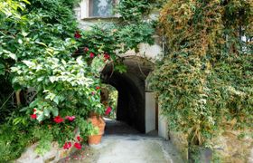 Photo of mon-bonheur