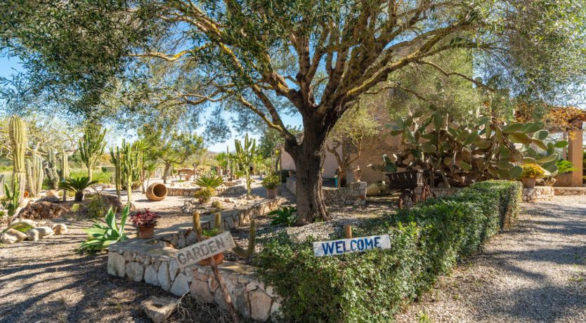 Photo of Ses Terrasses