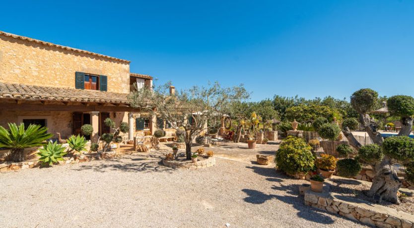 Photo of Ses Terrasses