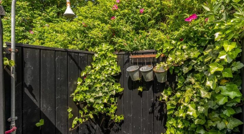 Photo of "Annemone" - 900m from the sea