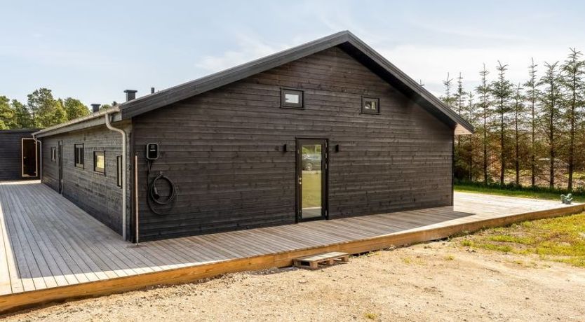 Photo of "Mads" - 700m from the sea