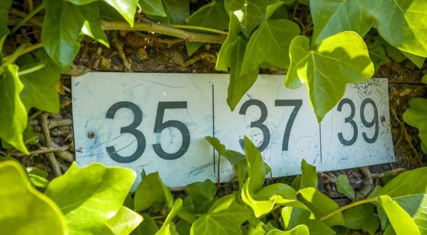 Photo of "Didrik" - 2km from the sea