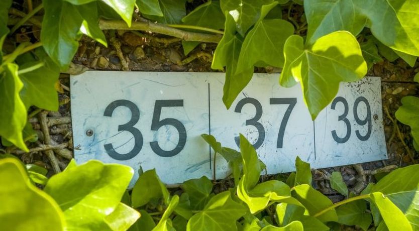 Photo of "Sibyll" - 2km from the sea