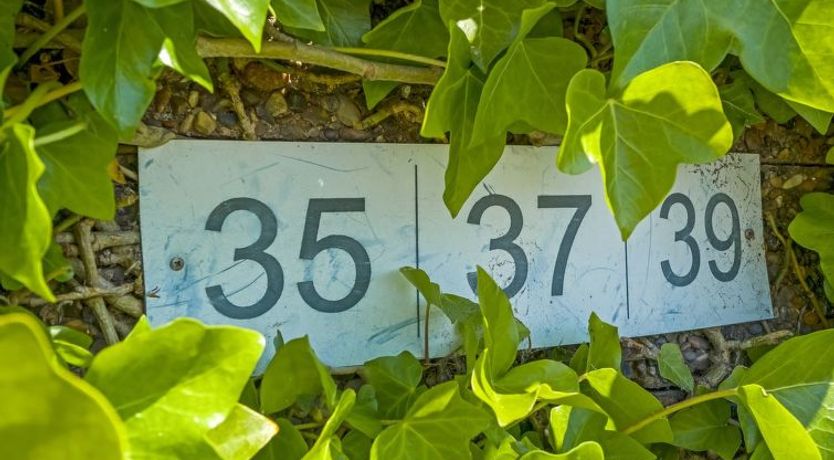 Photo of "Økil" - 2km from the sea