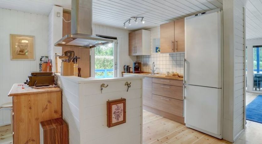 Photo of "Trixie" - 1km from the sea