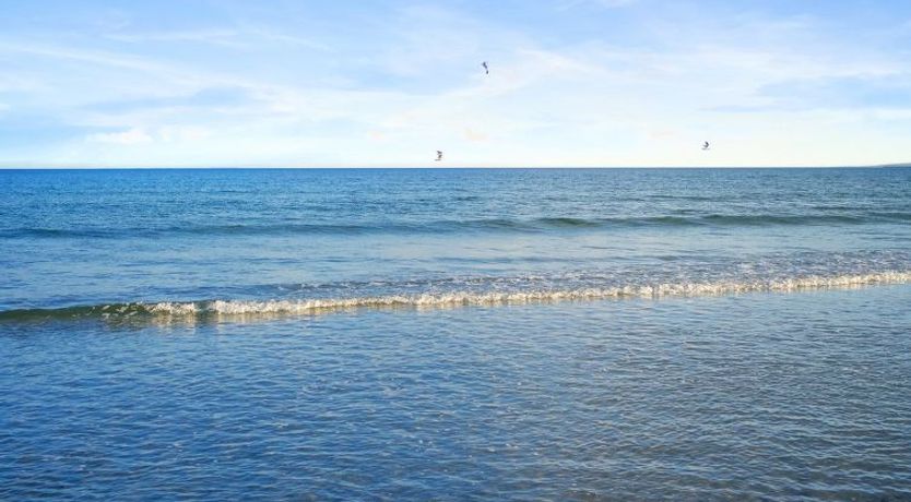 Photo of "Elle" - 50m from the sea