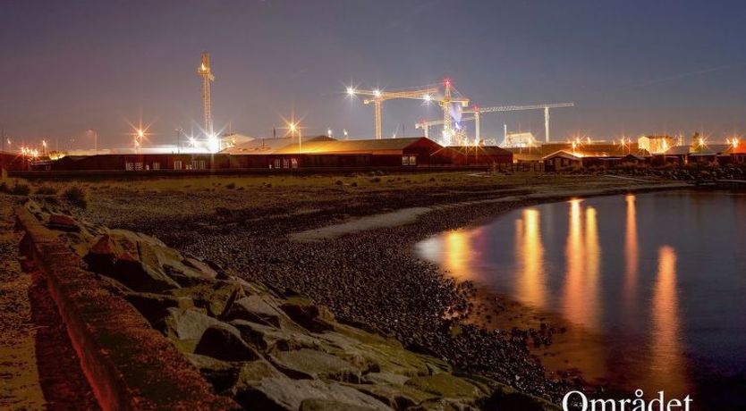 Photo of "Elle" - 50m from the sea