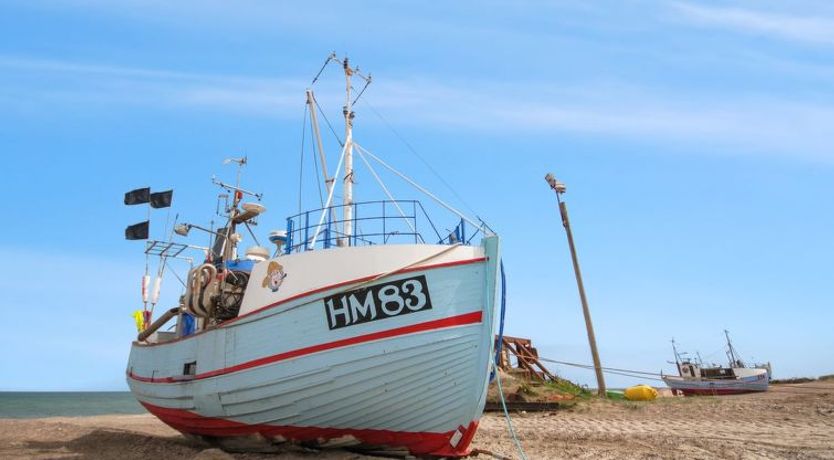 Photo of "Wilja" - 400m from the sea