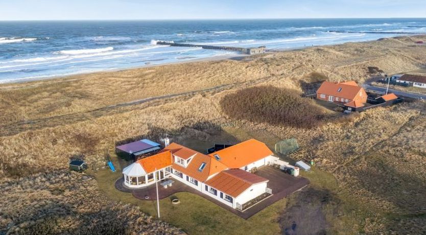 Photo of "Pauli" - 75m from the sea