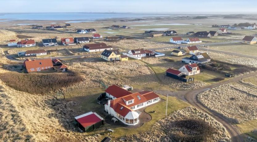 Photo of "Pauli" - 75m from the sea