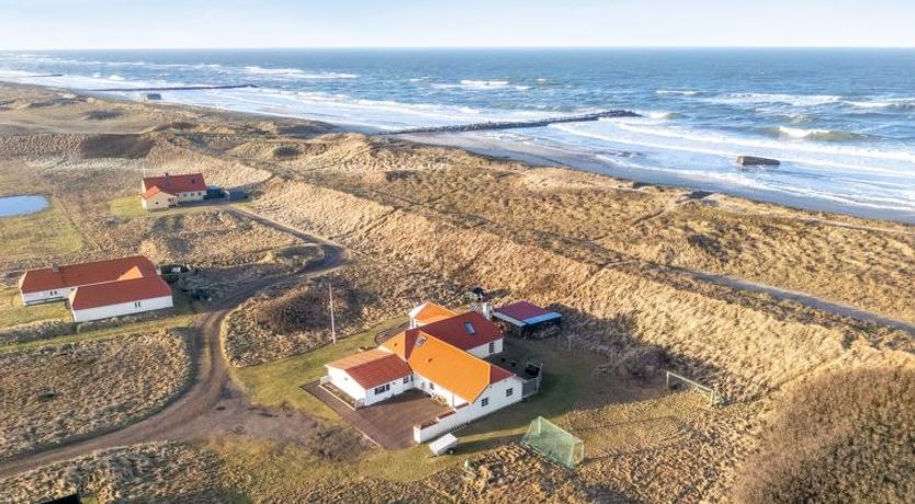 Photo of "Pauli" - 75m from the sea