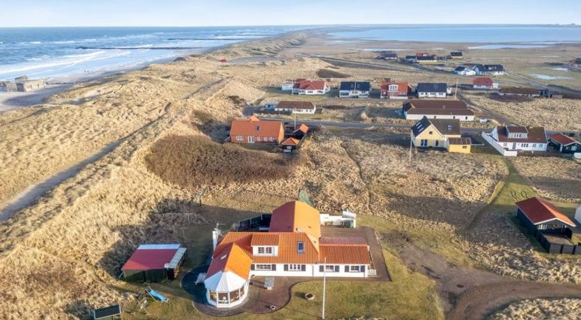 Photo of "Pauli" - 75m from the sea