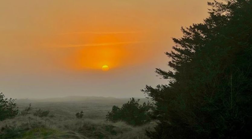 Photo of "Nilson" - 1.4km from the sea