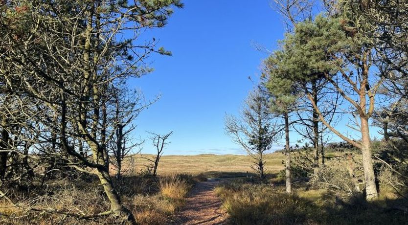 Photo of "Nilson" - 1.4km from the sea