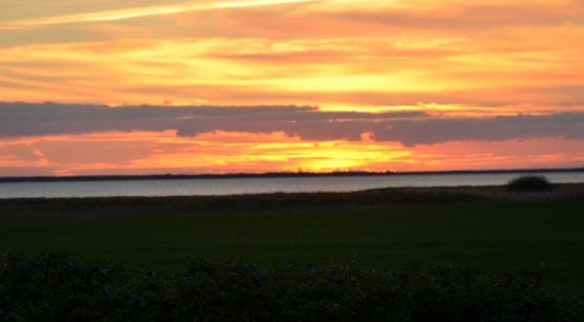 Photo of "Aleida" - 100m to the fjord