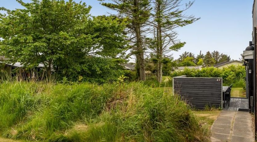 Photo of "Aku" - 700m from the sea