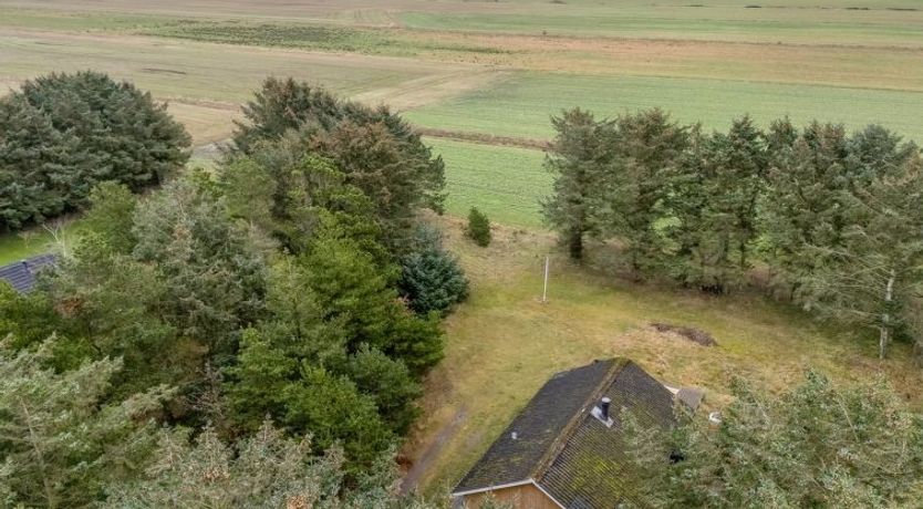 Photo of "Brawith" - 700m to the fjord