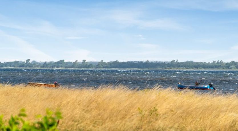 Photo of "Tayana" - 75m to the fjord