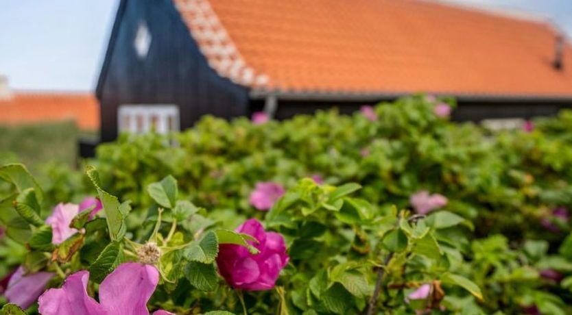 Photo of "Armina" - 75m from the sea