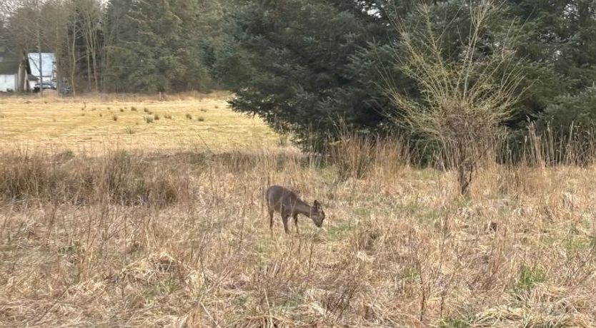 Photo of "Marla" - 1.1km from the sea