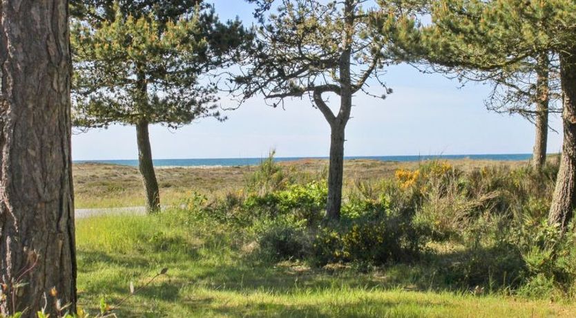 Photo of "Hatem" - 200m from the sea