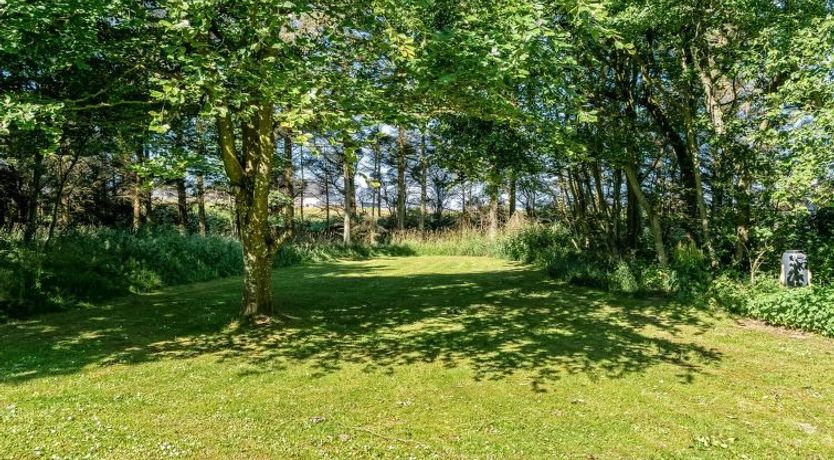 Photo of "Ninetta" - 650m from the sea