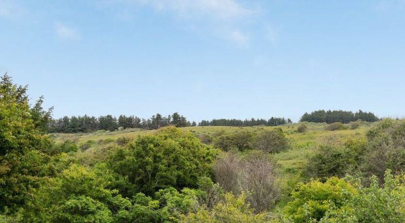 Photo of "Sorja" - 420m from the sea