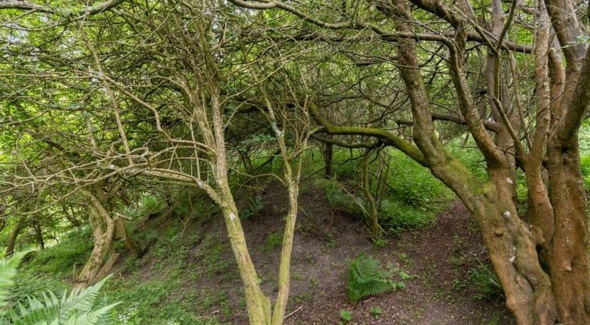 Photo of "Sorja" - 420m from the sea