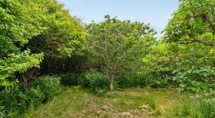 Photo of "Sorja" - 420m from the sea