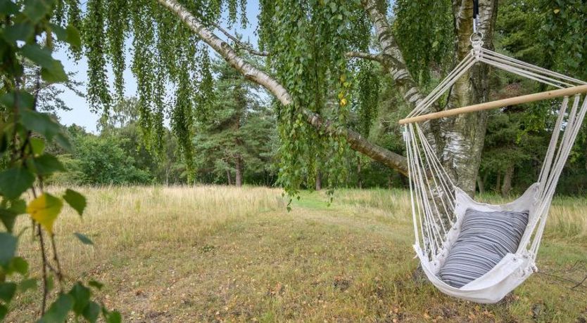 Photo of "Trajanka" - 2km from the sea