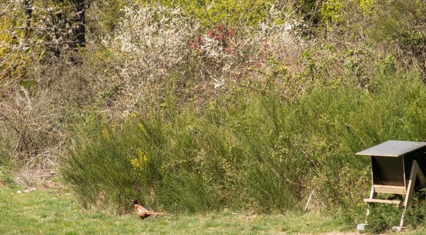 Photo of "Trajanka" - 2km from the sea