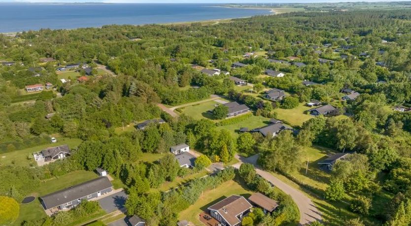 Photo of "Laris" - 700m to the fjord