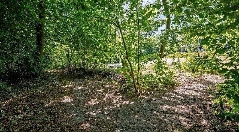 Photo of "Vitus" - 600m from the sea