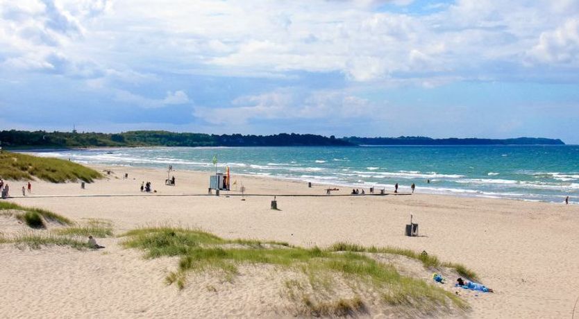 Photo of "Cedomir" - 625m from the sea