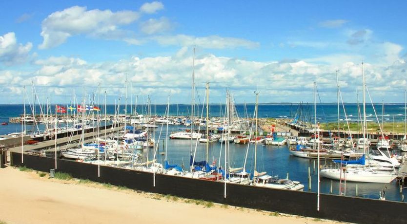 Photo of "Cedomir" - 625m from the sea