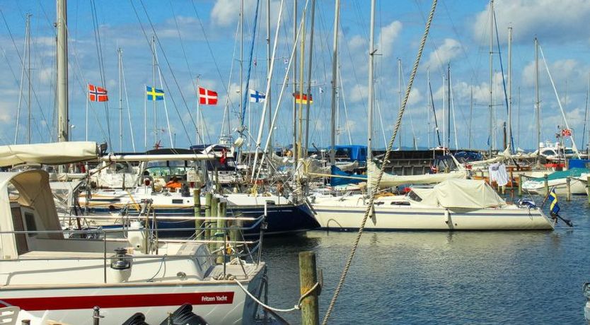 Photo of "Cedomir" - 625m from the sea