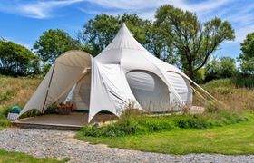 Photo of beech-lotus-belle-tent
