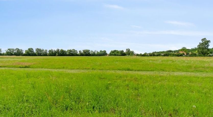 Photo of "Simon" - 1km from the sea