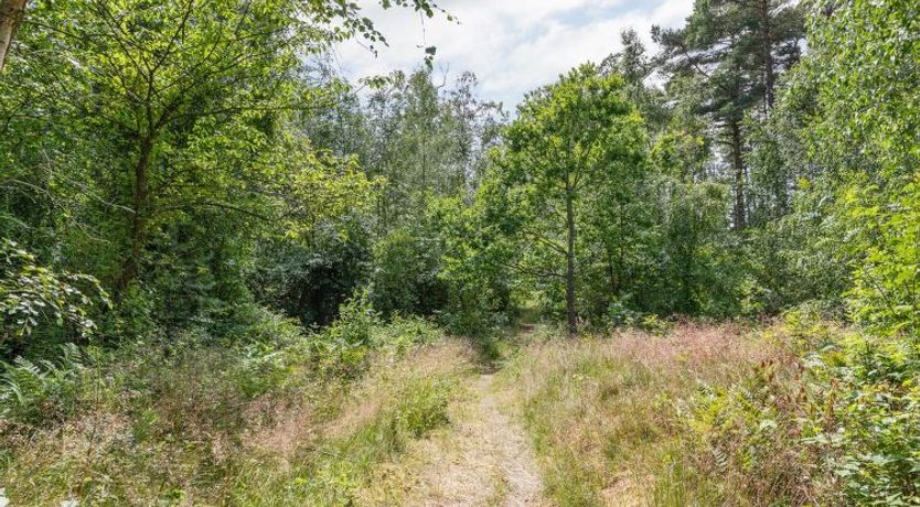 Photo of "Anarosa" - 200m from the sea