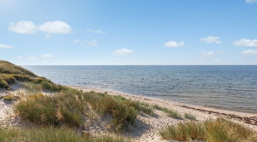 Photo of "Anarosa" - 200m from the sea