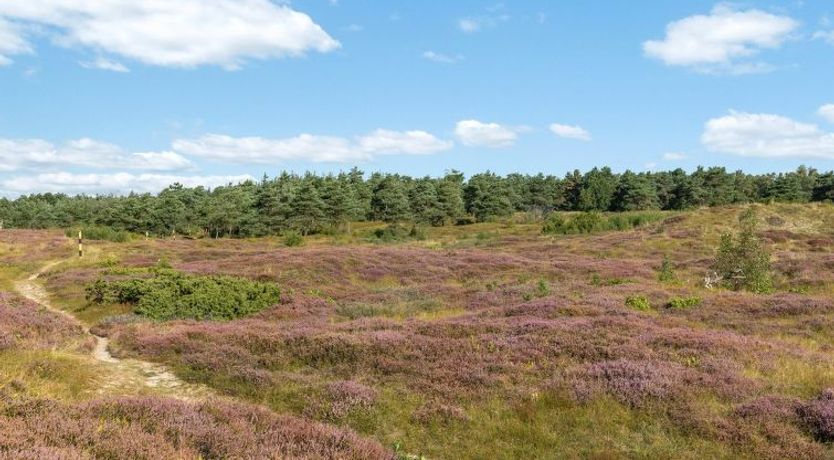 Photo of "Anarosa" - 200m from the sea