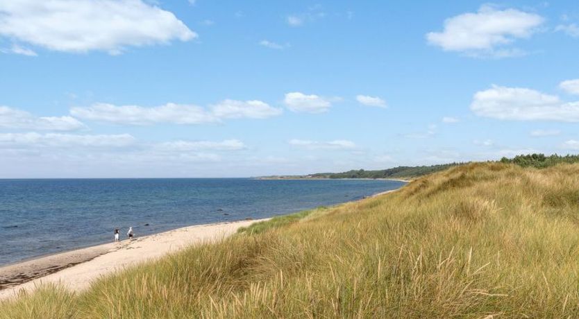 Photo of "Anarosa" - 200m from the sea