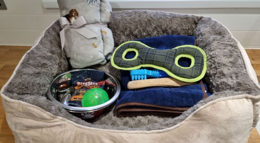 Photo of Willow Dene